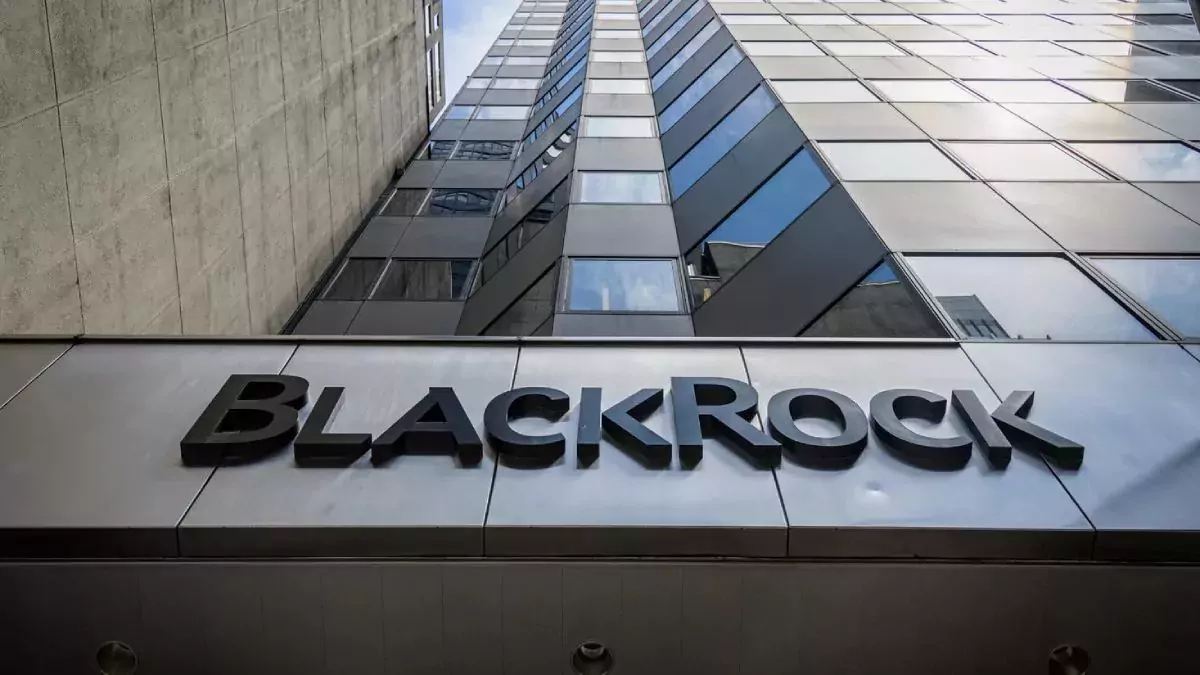 BlackRock's Crypto Vault was Flooded with NFT and Cryptocurrency Memes