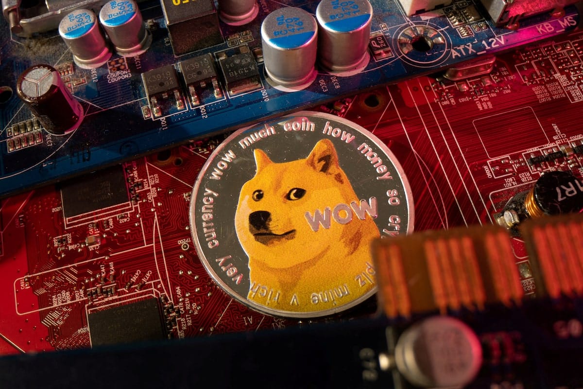 Kabosu, the face of cryptocurrency Dogecoin, dies at 18, owner says